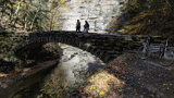 Stony Brook